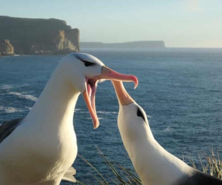 Climate Change Pushes Lovers Away Climate Change Pushes Lovers Away