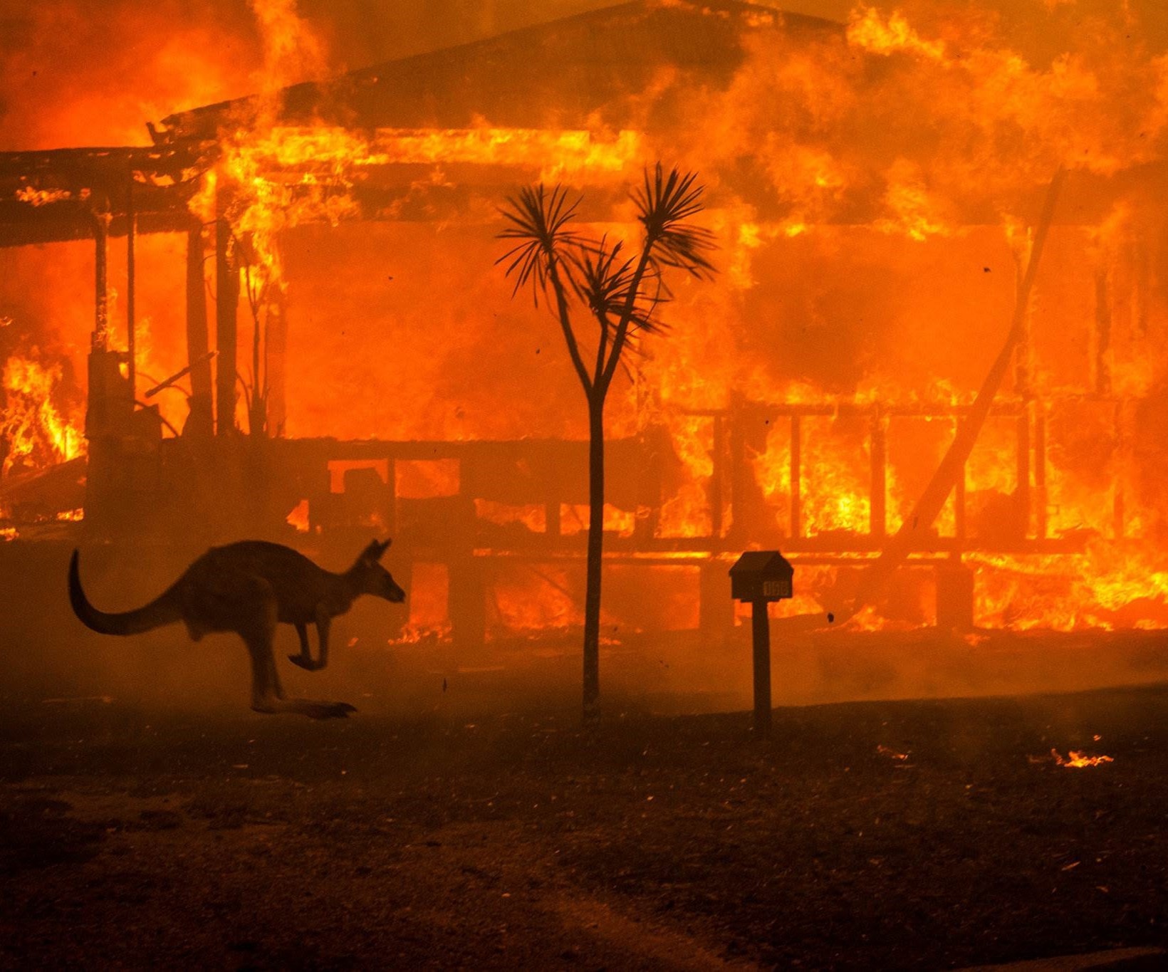 Australian Scientists Suggest Climate Change Caused Megafires Australian Scientists Suggest Climate Change Caused Megafires