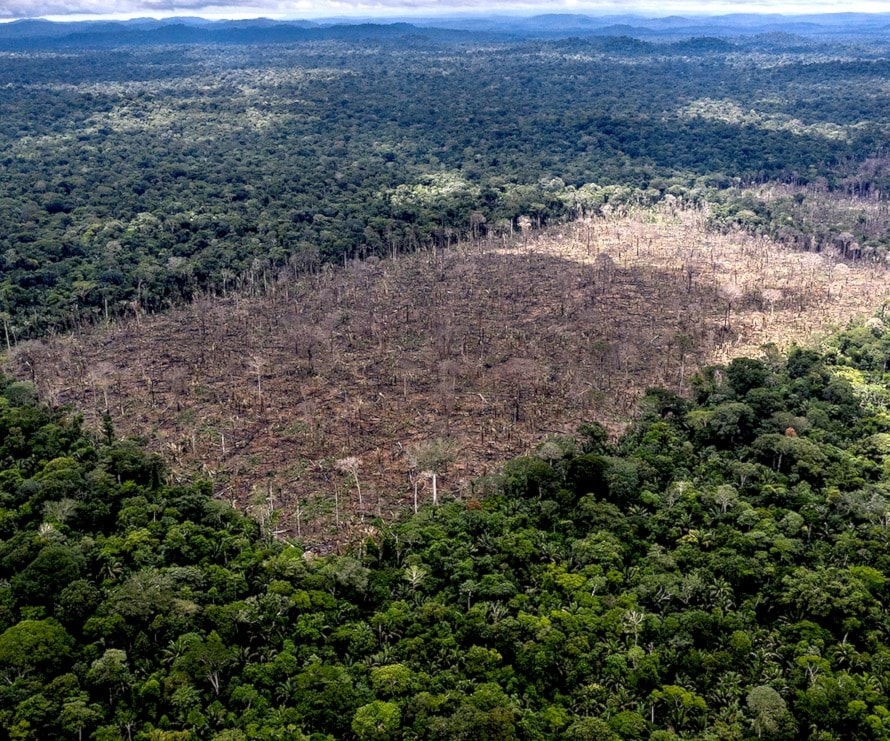 H&M, Zara, Nike & More Could Be 'Deforesting' the Amazon - The Guardian H&M, Zara, Nike & More Could Be 'Deforesting' the Amazon - The Guardian