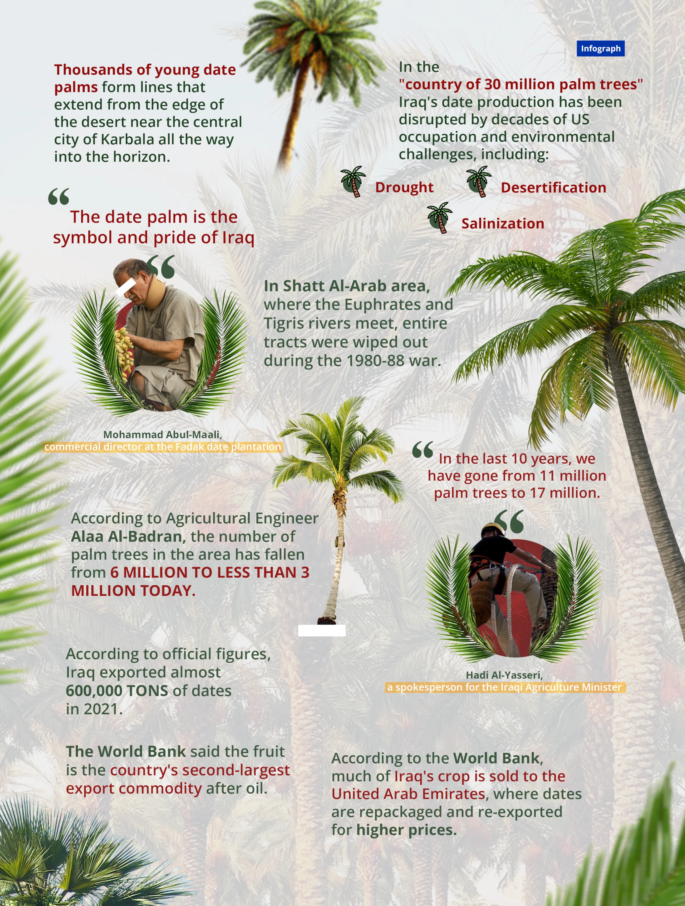 Iraq’s date palms disrupted by decades of war and climate change Iraq’s date palms disrupted by decades of war and climate change