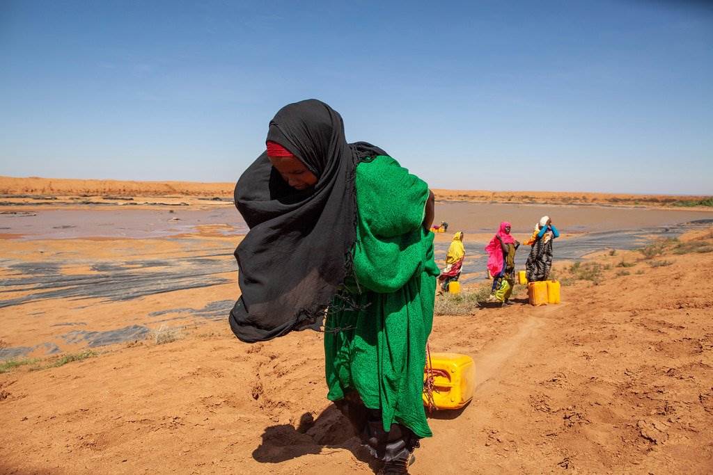 100,000 people fled their homes in search of food, water, and pasture for their livestock