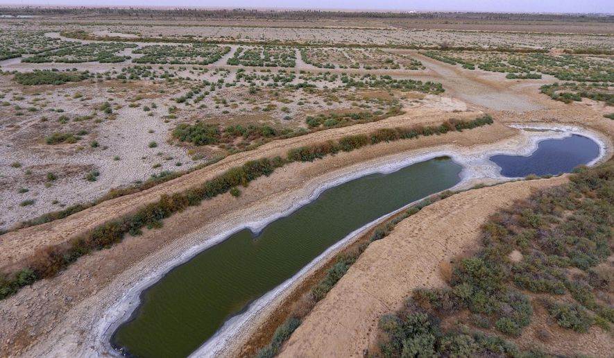 World Bank Warns Over Looming Plunge in Iraq Water Resources