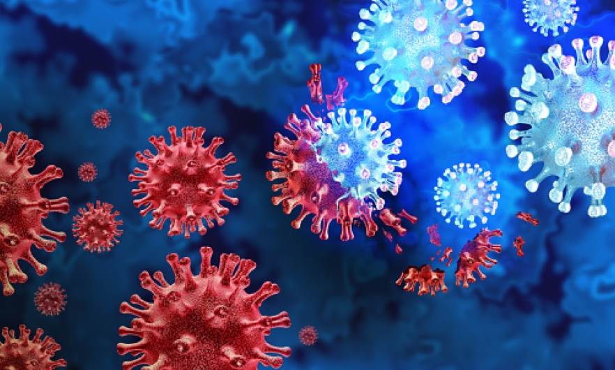 Omicron, the new Coronavirus variant.