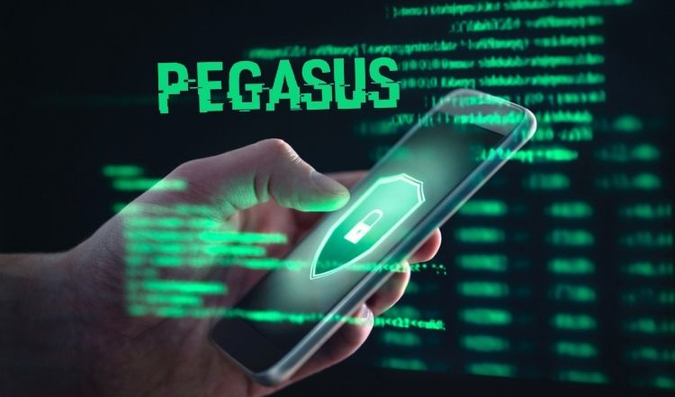 Pegasus al sales