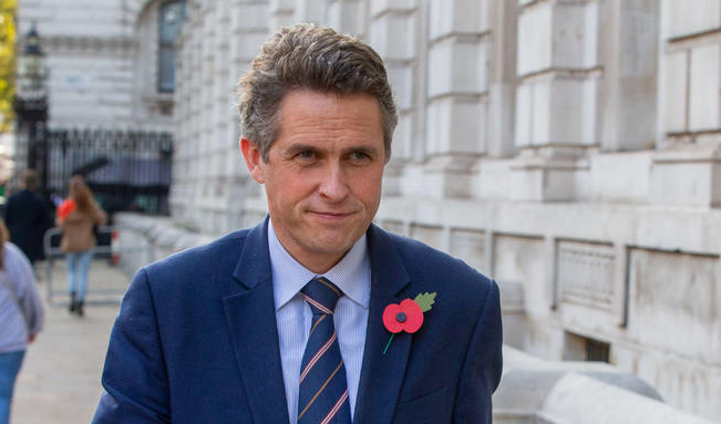 Gavin Williamson (Alamy)