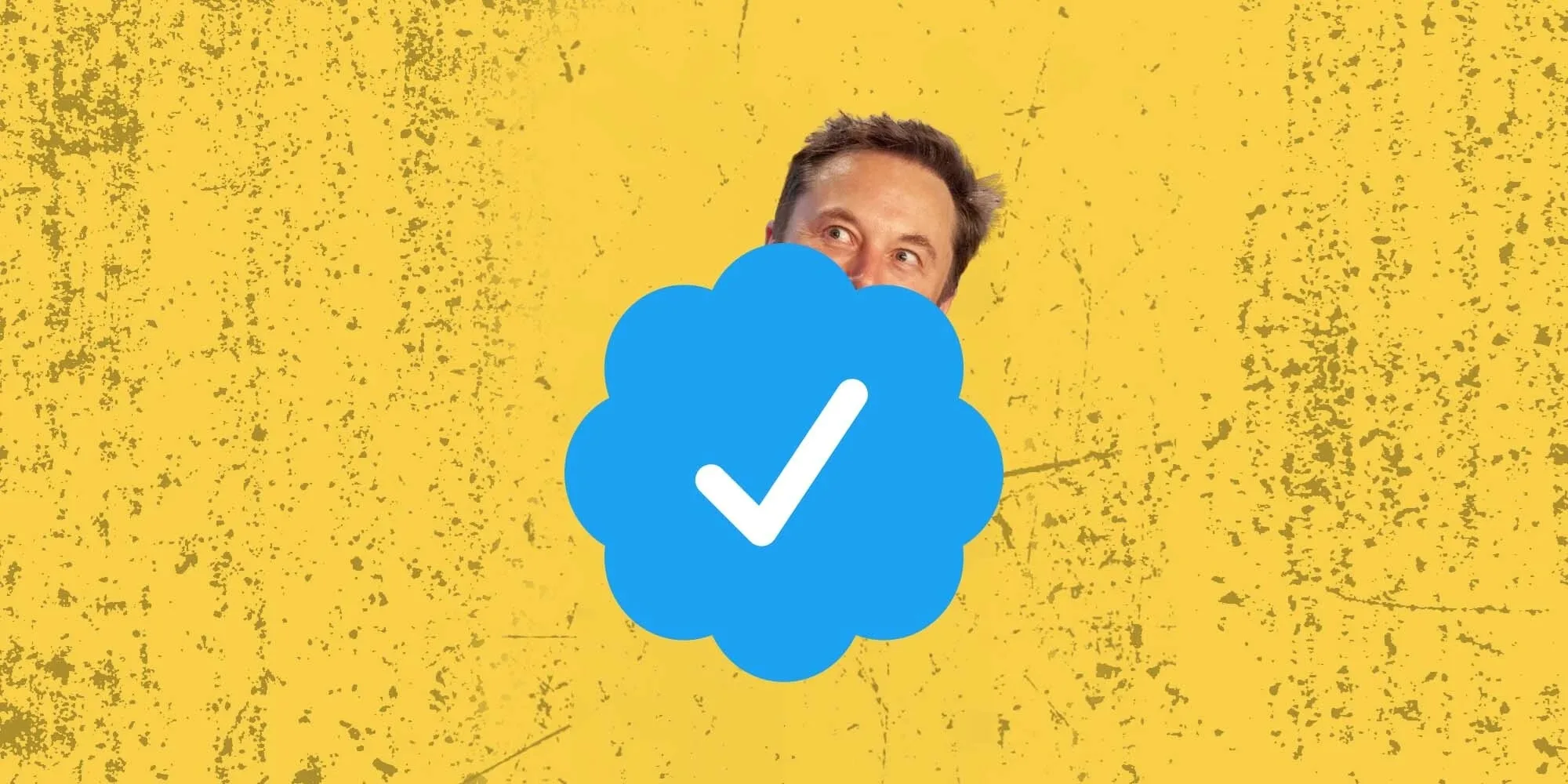 Elon Musk's Twitter (9to5Google)