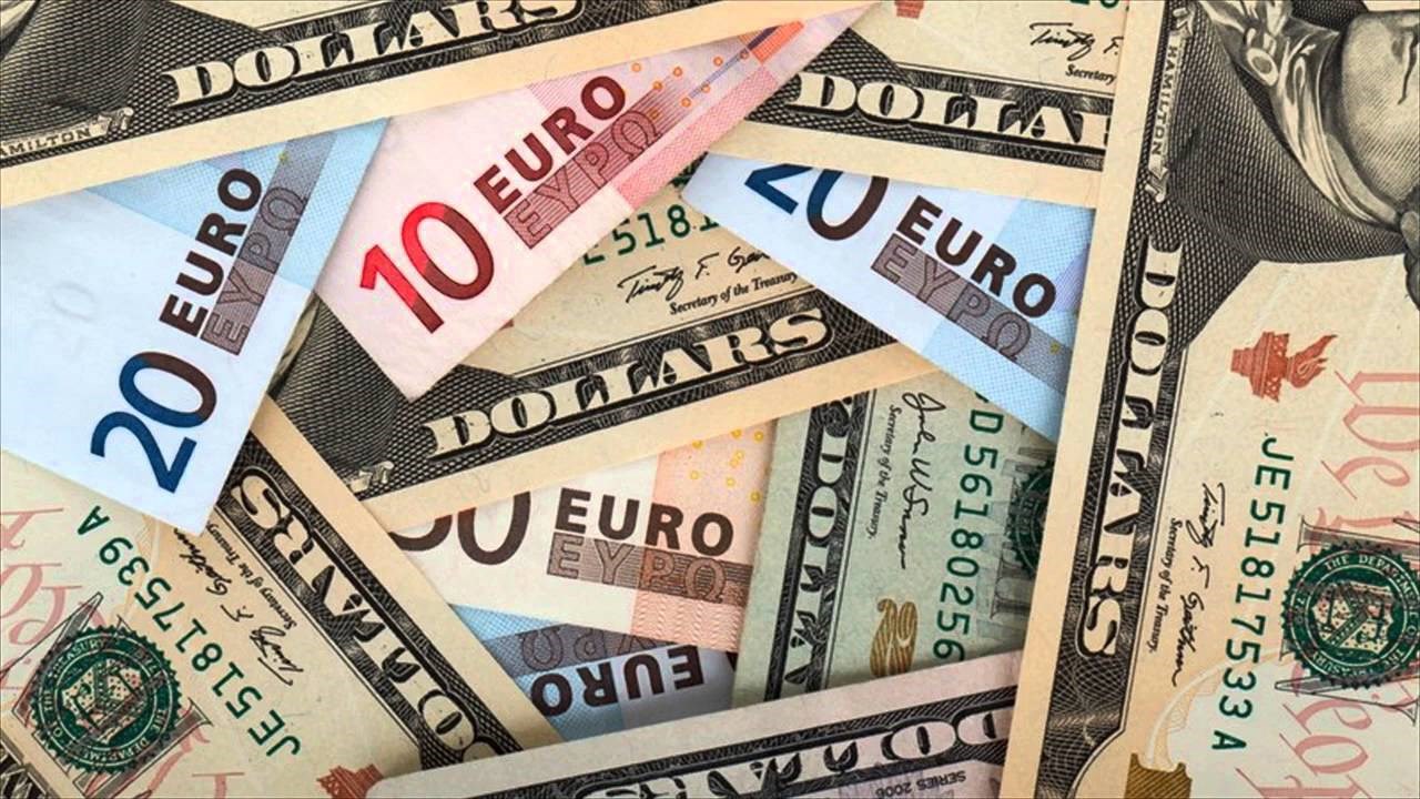 US dollar and euro