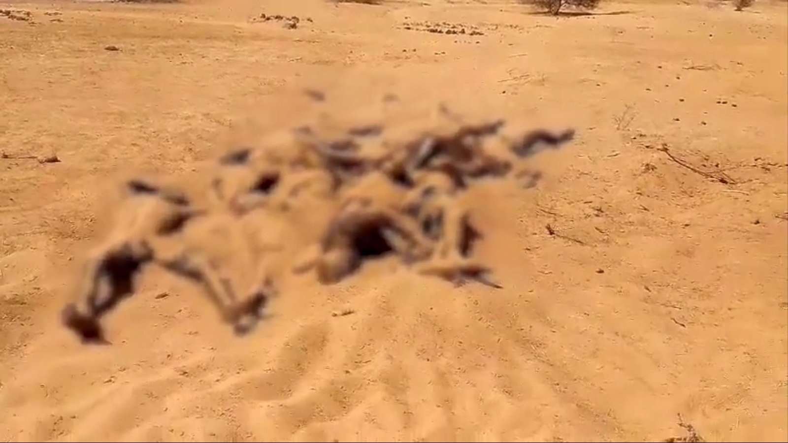 Mass grave in Gossi. (Afrique Actuelle)