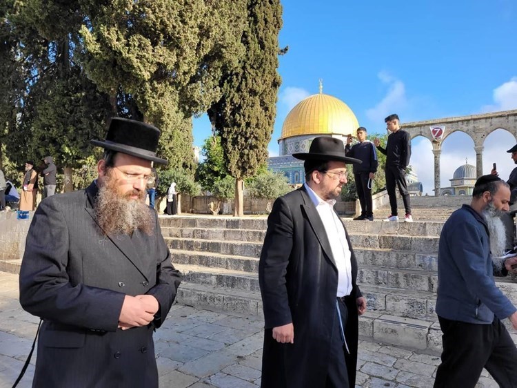 Settlers storm Al-Aqsa amid occupation military reinforcements