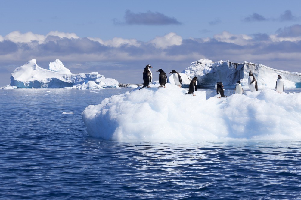 Microplastics found in fresh Antarctic snow