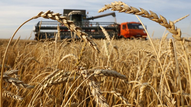 World wheat prices fall 10% after Putin's statement on Ukrainian ports.