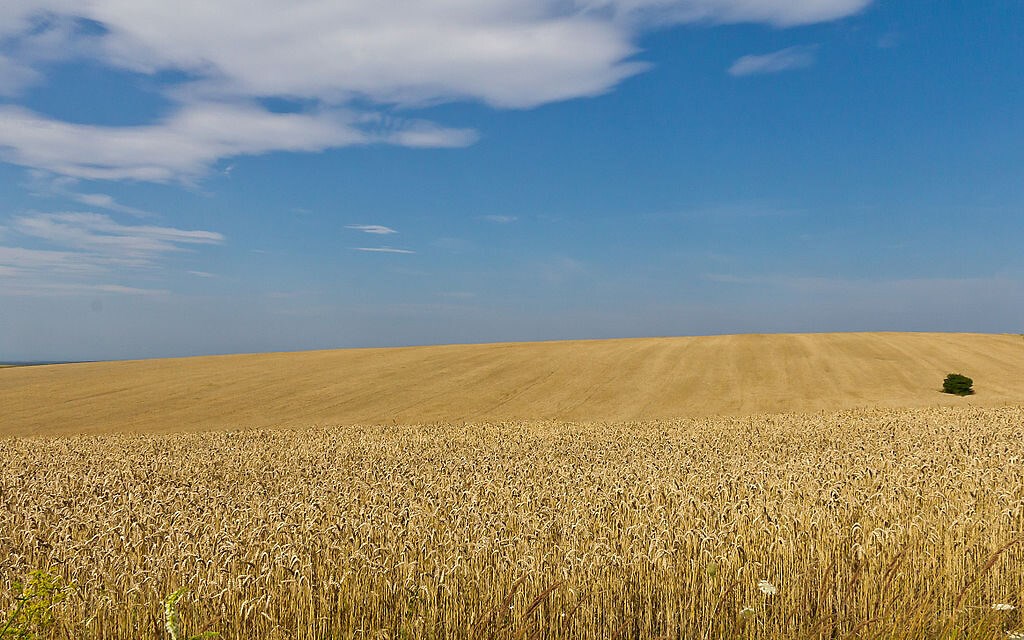UK troops leave Mariupol but first, they set fire to tons of grain