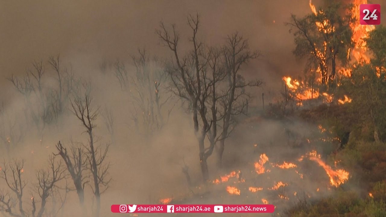Fires rage in the North of Morocco, 500 families evacuated