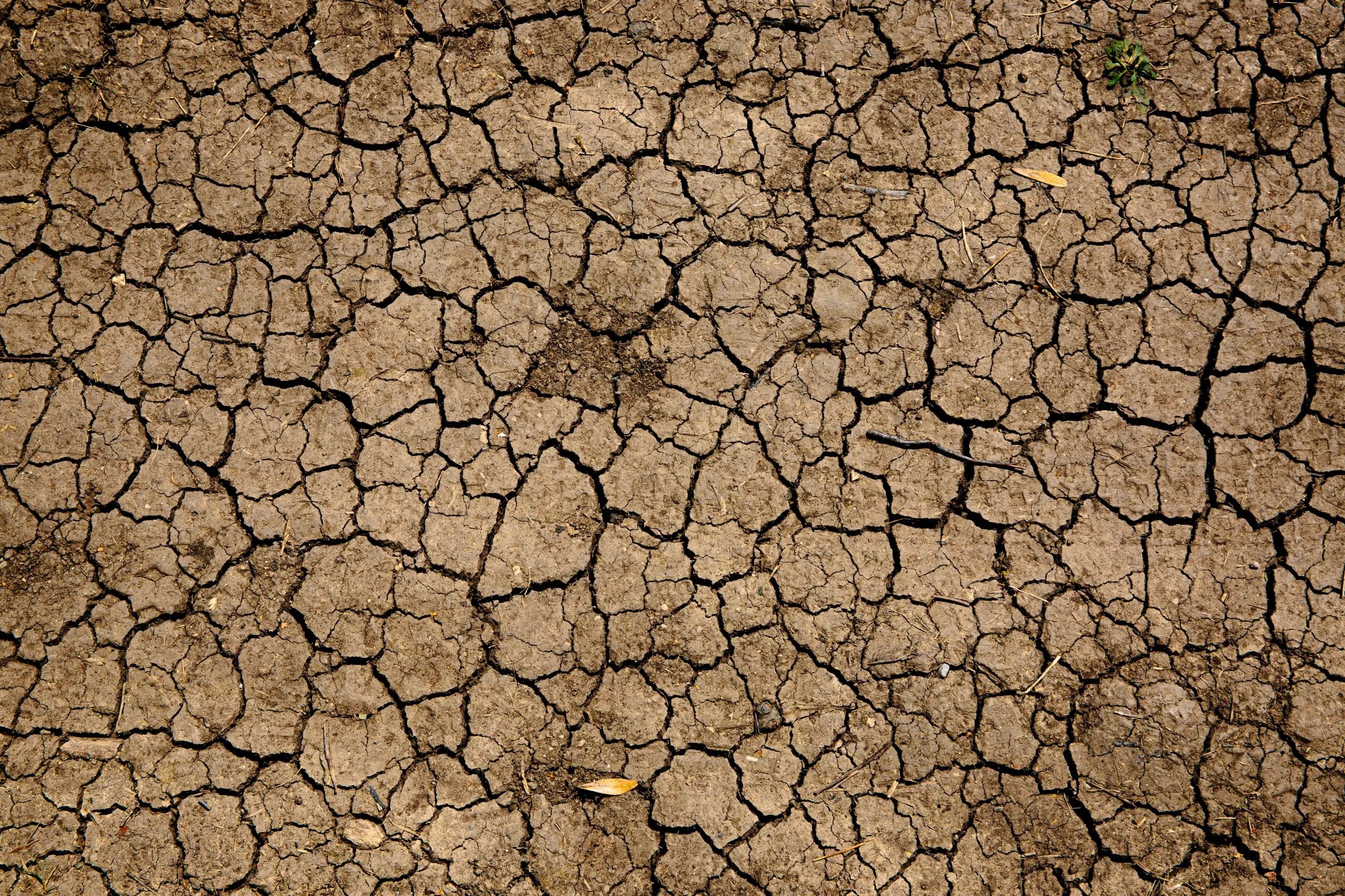 Drought forces water abstinence in Spain.
