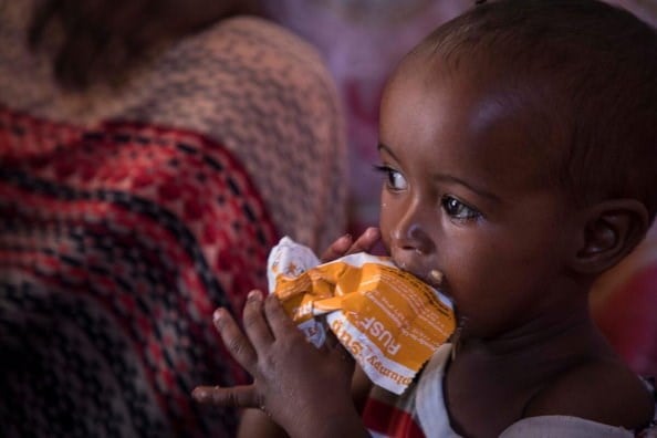 345 million people at risk of food insecurity. File source: WFP