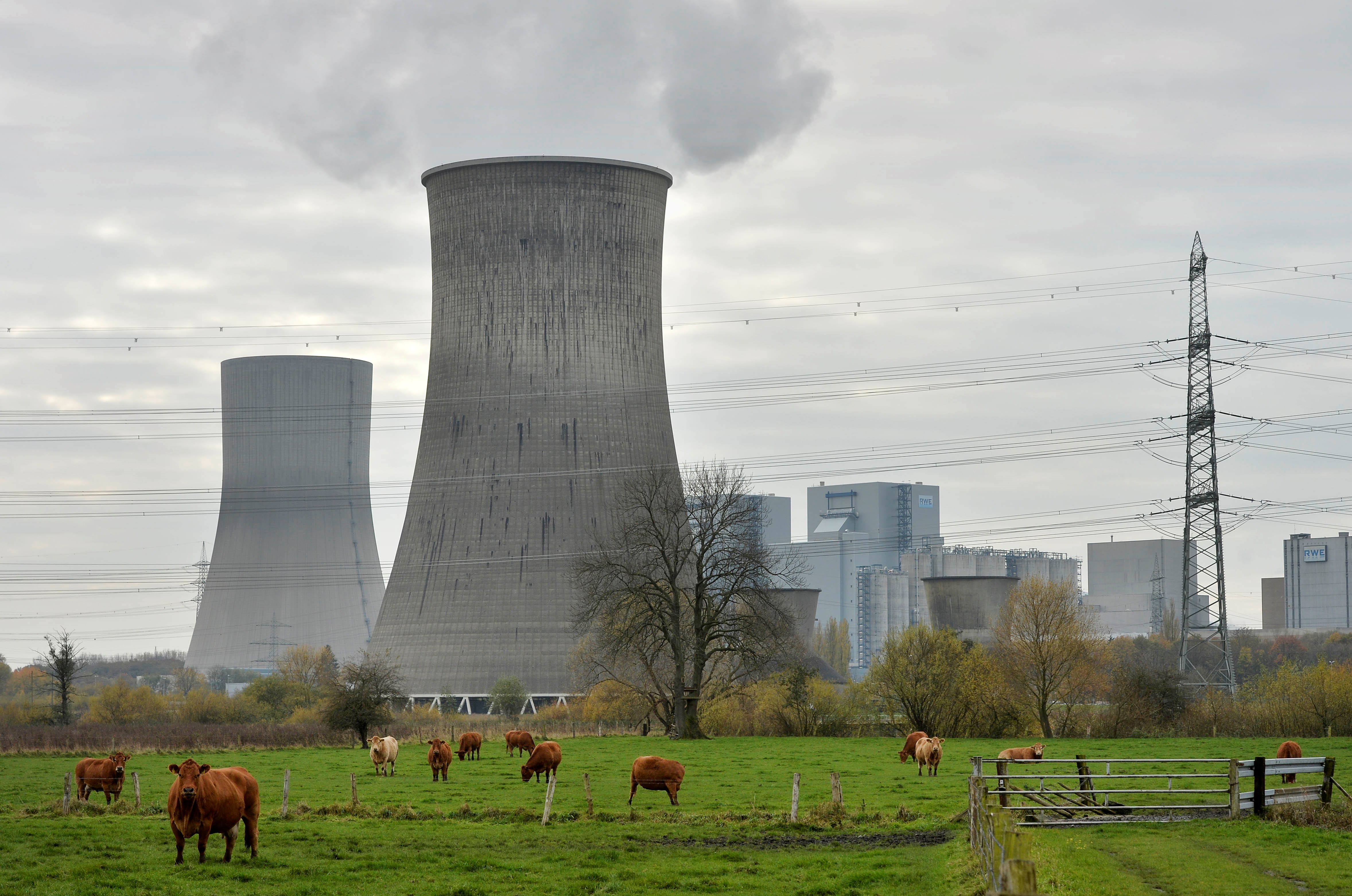 In this Nov. 14, 2013 file photo cows are standing in front of the latest coal-fired power station of German power provider RWE in Hamm, Germany (AP Photo/Martin Meissner, File)