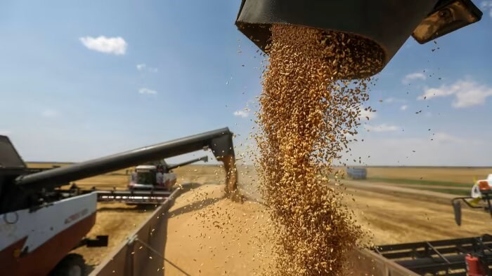 Farmers harvesting wheat in Russia. (Bloomberg)