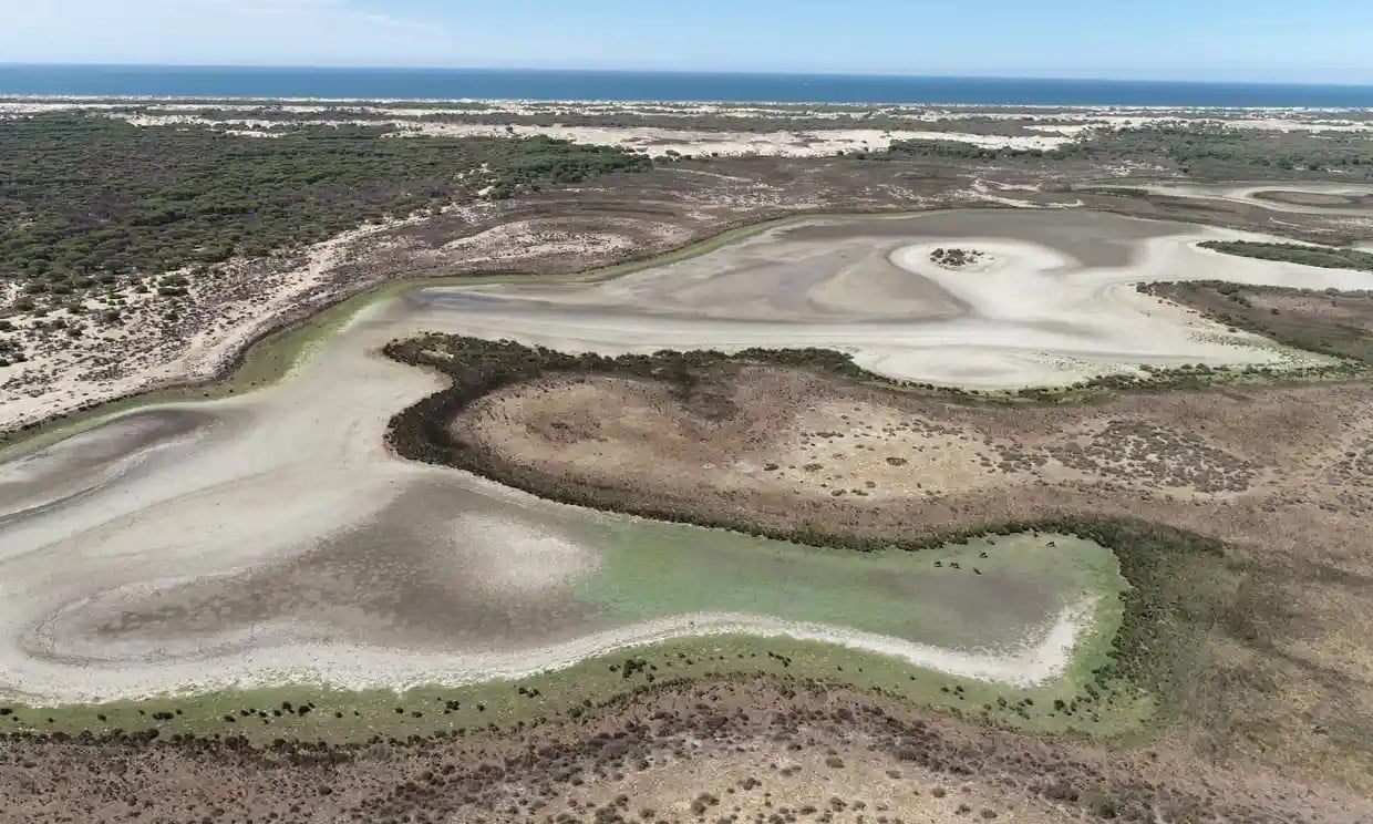 Experts say the Santa Olalla lake has dried up for the third time in 50 years. Photograph: CSIC.