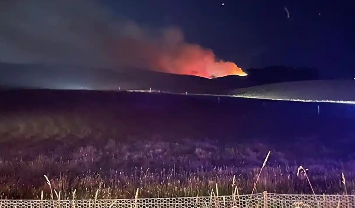 Billionaire’s runaway fireworks spark New Zealand furore