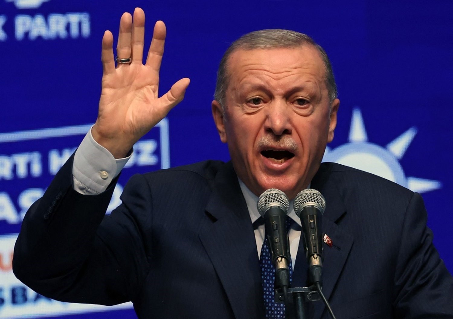 Turkish President Recep Tayyip Erdogan gestures as he speaks in Ankara, on August 24, 2023. (AFP)