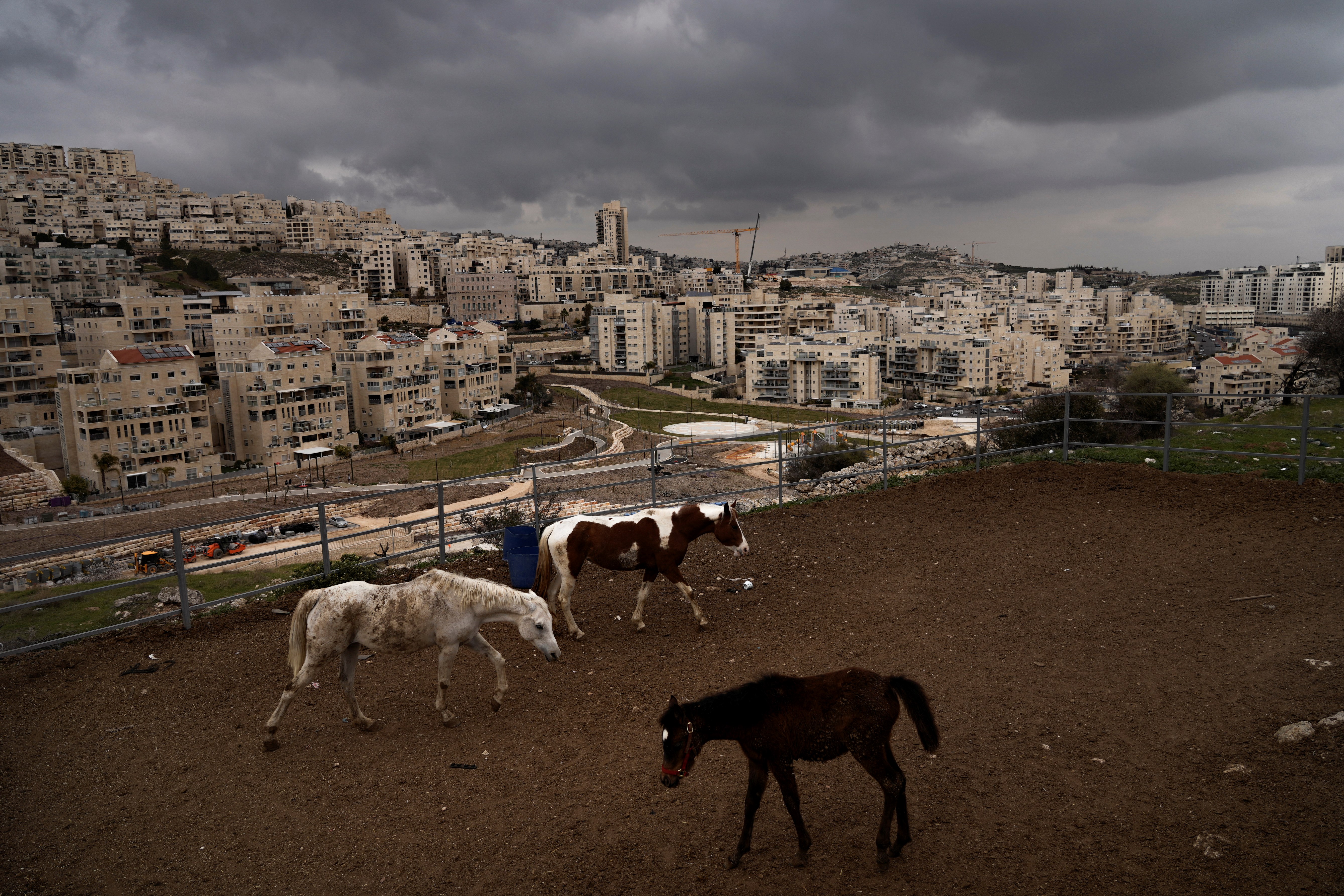 Israeli settlement in east Al-Quds, February 23, 2023 (AP).