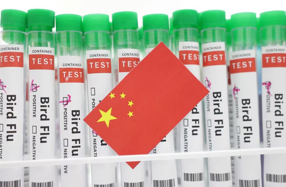 An illustration shows positive test tubes labelled
