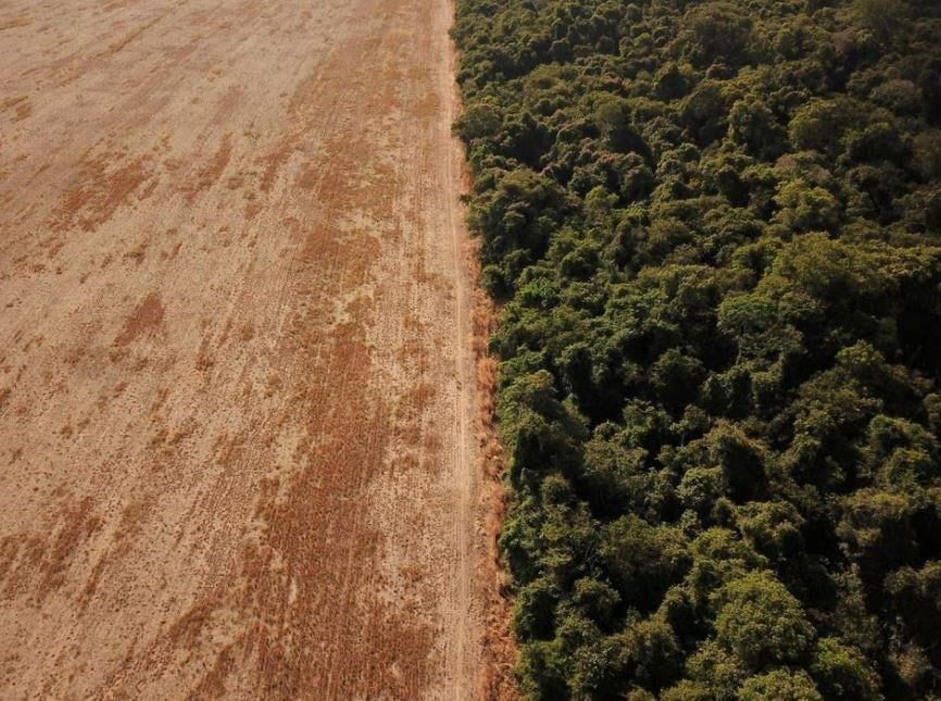 An aerial view shows deforestation near a forest on the border between Amazonia and Cerrado in Nova Xavantina, Mato Grosso state, Brazil July 28, 2021. (REUTERS)