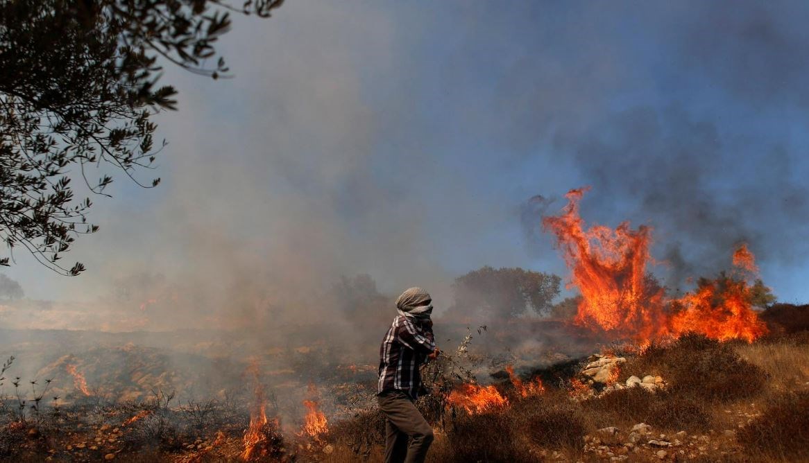 Grass burns in an olive field after Israeli forces fired tear gas canisters during a Palestinian protest against Jewish settlements, near Ramallah in the Israeli-occupied West Bank October 16, 2020. (Reuters)
