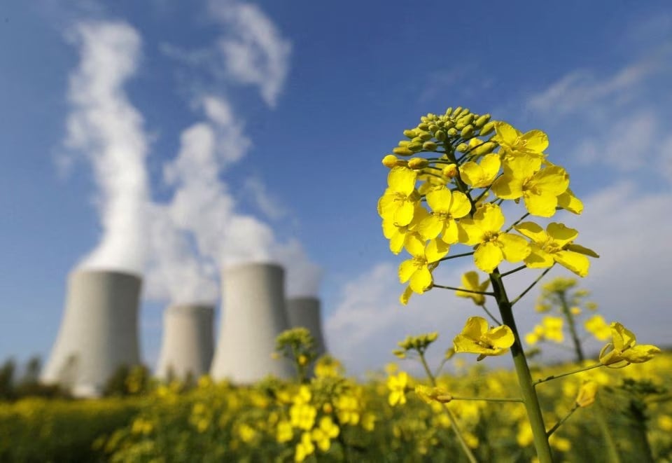 field is seen in front of the cooling towers of the Temelin nuclear power plant near the South Bohemian city of Tyn nad Vltavou April 12, 2014 (Reuters)