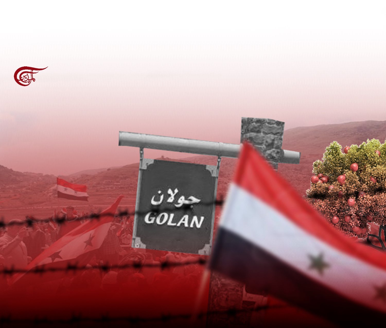 Fruit season in the Golan Heights … defying the restrictions of the Israeli occupation