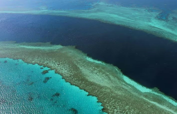 A large area of ocean along the north-east Queensland coast is under heatwave conditions, raising concerns for the health of corals on the Great Barrier Reef and other ocean life. (AFP via Getty Images)